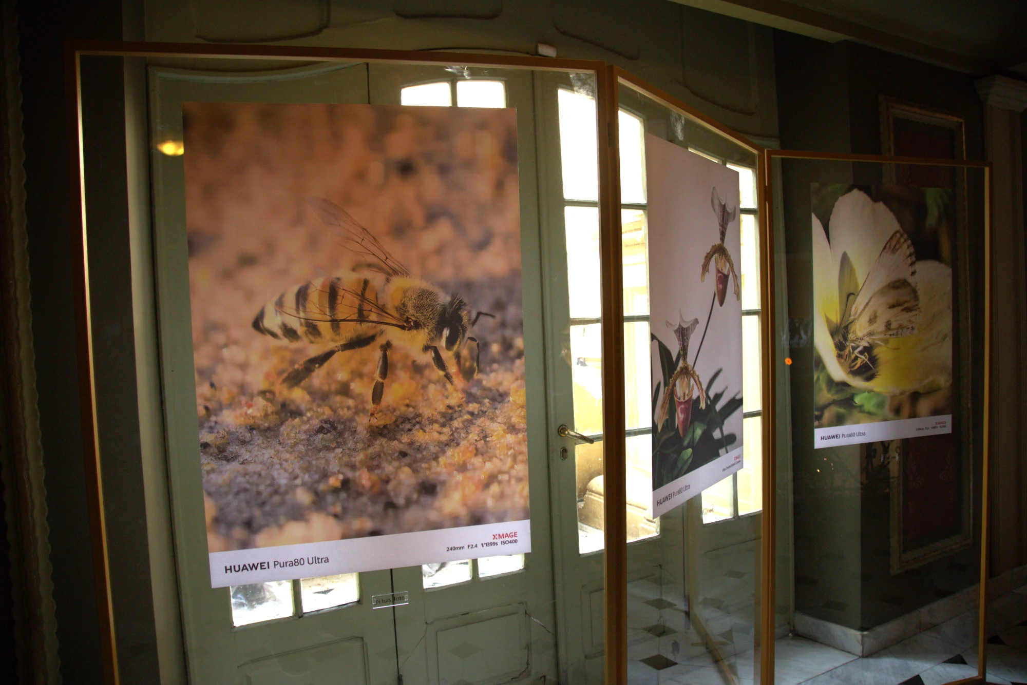 Exposição de fotografias XMAGE emolduradas junto às portas do foyer